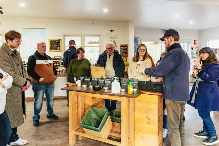 Hobart: Bruny Island Gourmet Sightseeing Day Tour - Mavista Rainforest: a calmer stop with wildlife chances