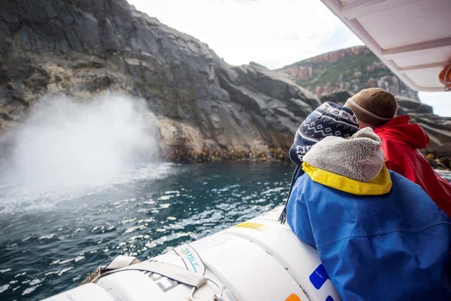 Hobart: Bruny Island Wilderness Coast Eco Cruise with Lunch - Friar Rocks, Breathing Rock, and sea caves: why the cruise is the main event