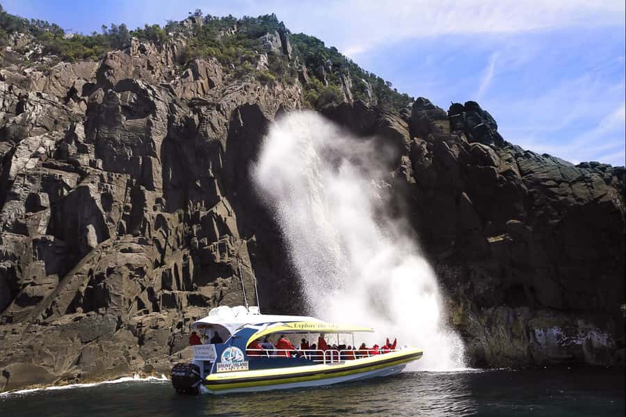 Hobart: Bruny Island Wilderness Coast Eco Cruise with Lunch - Morning and lunch timing: how food keeps the day from feeling rushed