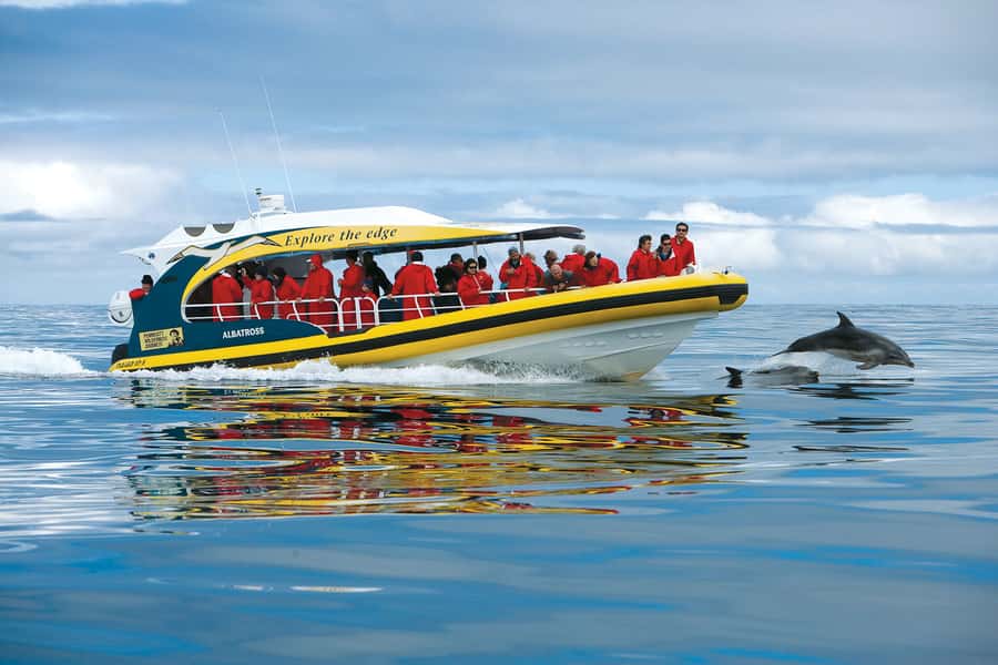 Hobart: Bruny Island Wilderness Coast Eco Cruise with Lunch - Ferry crossing and Bruny Island morning tea stops