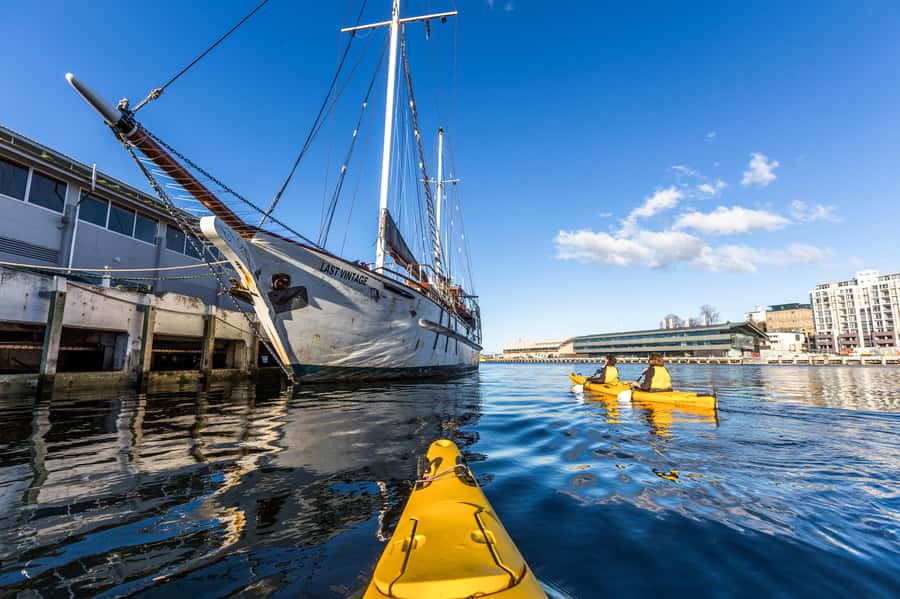 Hobart City 2.5-Hour Kayak Tour - Timing Reality Check: 150 Minutes vs. Time on the Water