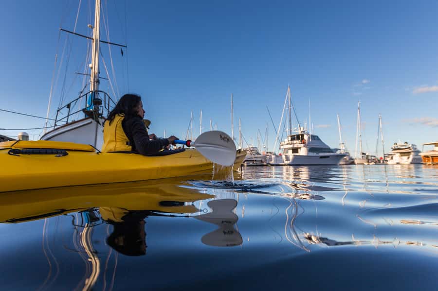 Hobart City 2.5-Hour Kayak Tour - Who Should Book This Hobart Kayak Tour