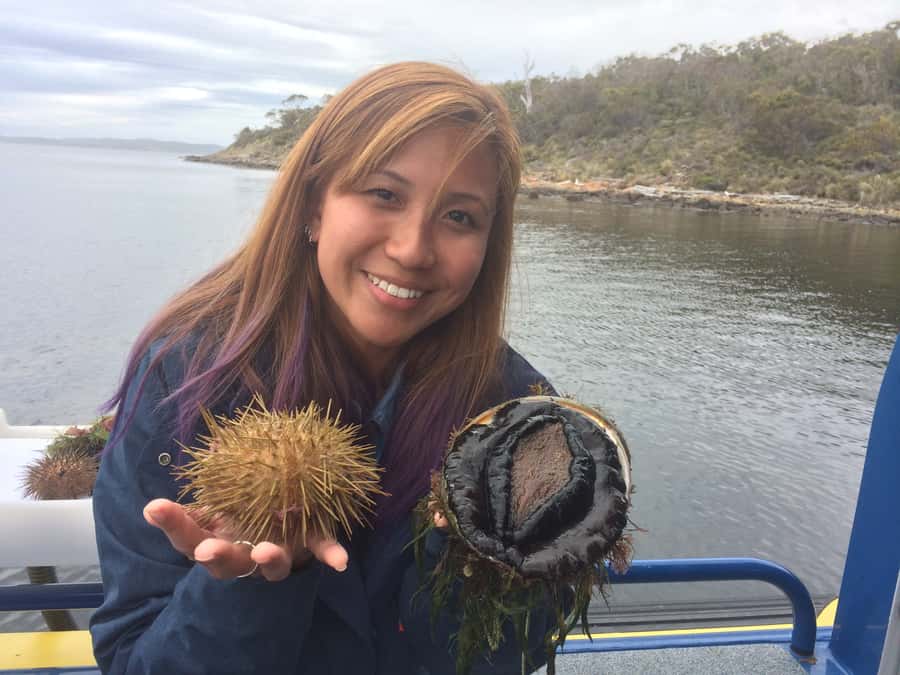 Hobart: Full-Day Tasmania Gourmet Seafood Cruise - First taste: oysters on the shell and a quiet bay pause