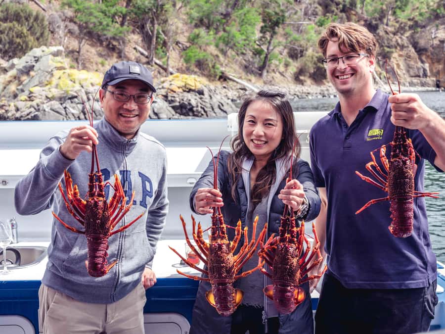 Hobart: Full-Day Tasmania Gourmet Seafood Cruise - Should you book Hobart: Full-Day Tasmania Gourmet Seafood Cruise?