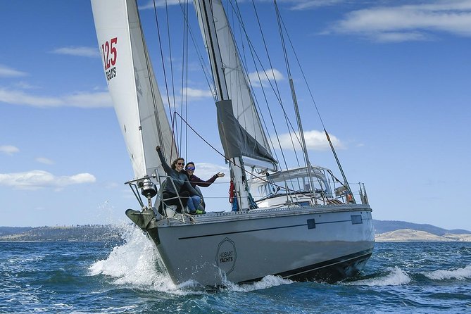 Hobart Half Day Wine and Food Tour - Small-Group Logistics: Comfortable Van, Maximum 30