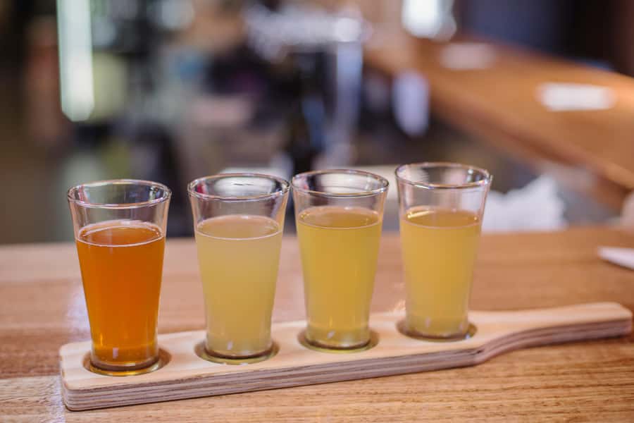 Hobart: Hastings Cave, Tahune Airwalk and Huon Tasting Trail - Who this Huon Valley day trip suits best
