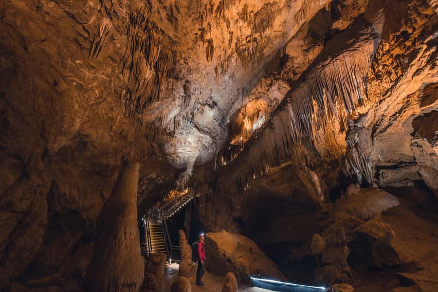 Hobart: Hastings Cave, Tahune Airwalk and Huon Tasting Trail - Should you book this Hobart to Hastings Caves and Tahune Airwalk day trip?