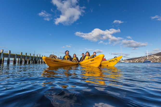 Hobart Kayak Tour - Key highlights at a glance