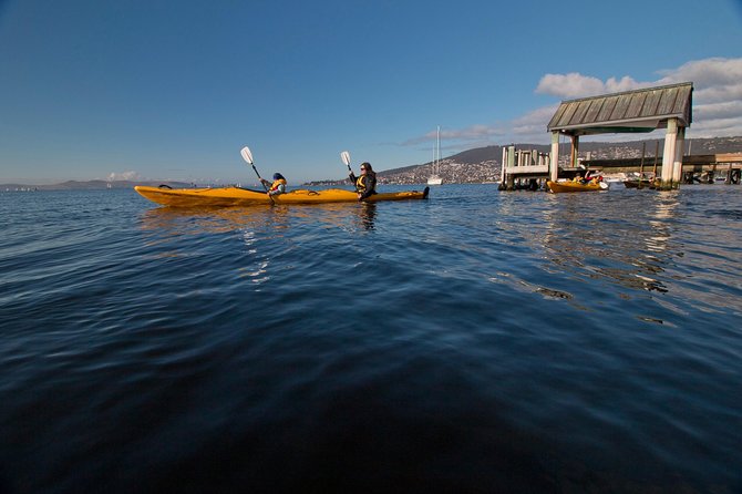 Hobart Kayak Tour - From Sandy Bay to the harbor: why this tour works