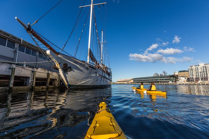 Hobart Kayak Tour - The 10-hour Tasman Peninsula option: wildlife spotting with fitness required