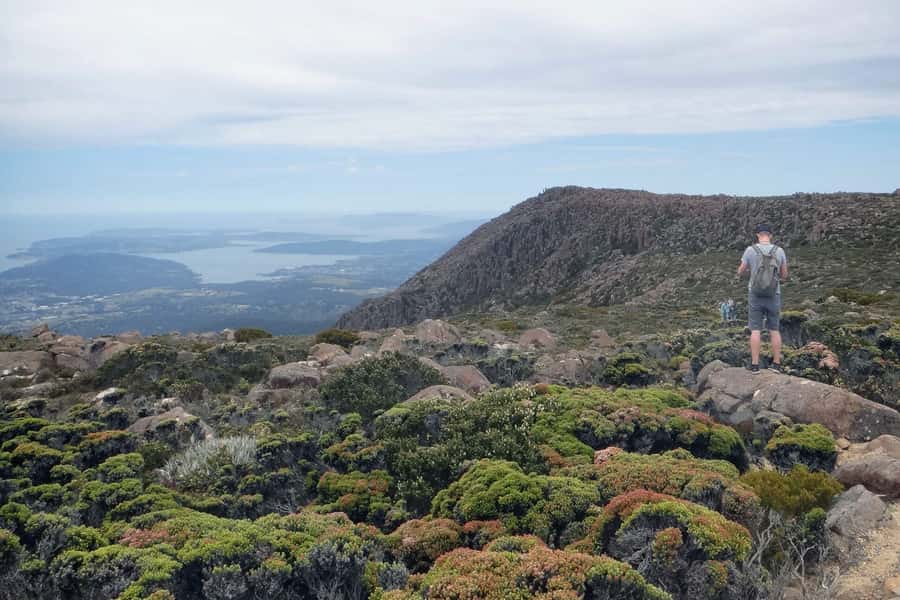 Hobart: kunanyi/Mt Wellington Explorer Bus Pass - Key highlights to know before you go