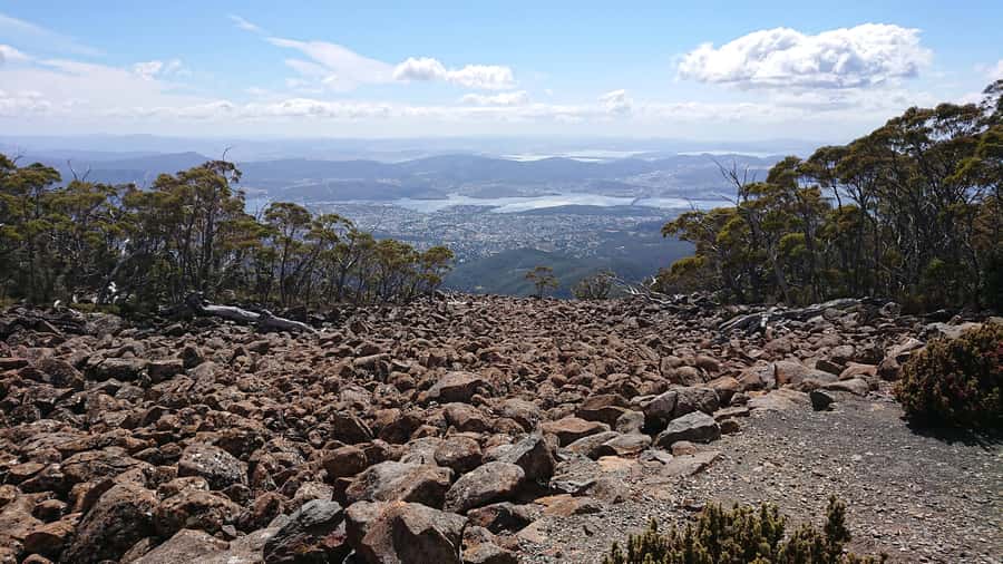Hobart: kunanyi/Mt Wellington Explorer Bus Pass - Fern Tree Park: your first taste of mountain air