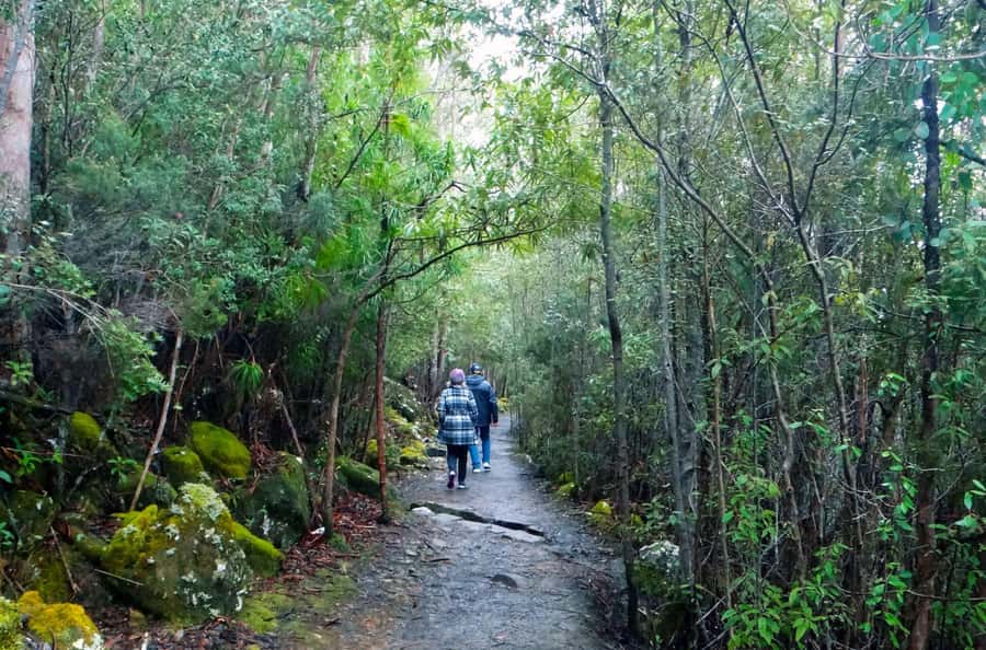 Hobart: kunanyi/Mt Wellington Explorer Bus Pass - The Springs and The Chalet: viewpoints plus a practical refuel point