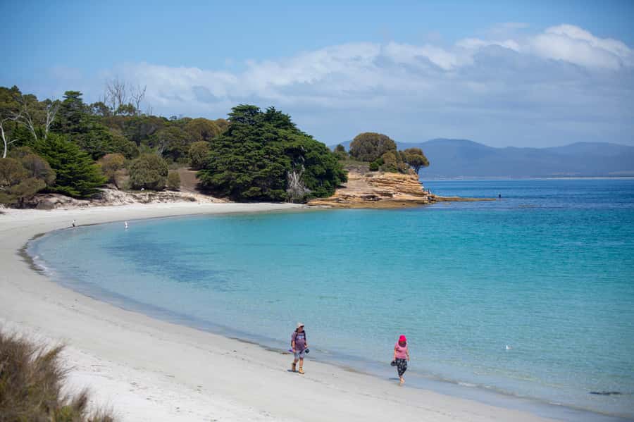 Hobart: Maria Island National Park Active Full-Day Tour - Key highlights that make this tour worth your time