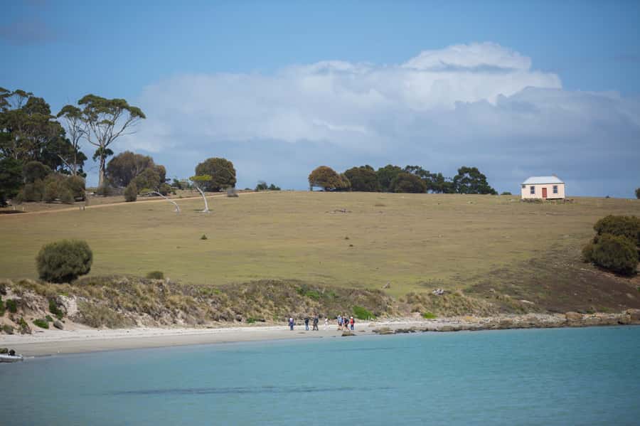 Hobart: Maria Island National Park Active Full-Day Tour - Price and value: is $152 worth it?