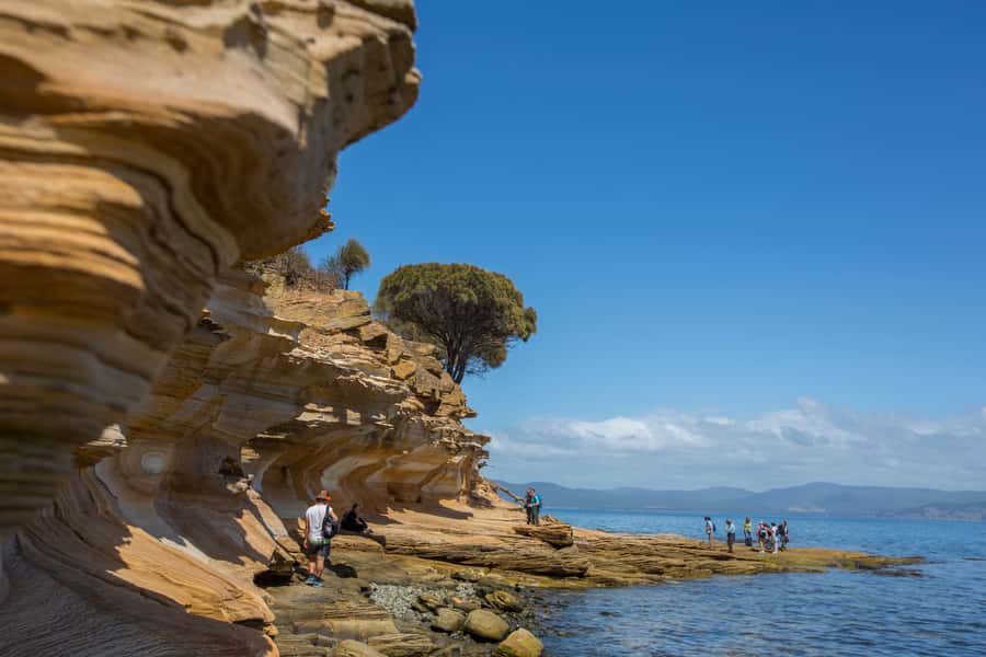 Hobart: Maria Island National Park Active Full-Day Tour - Darlington settlement: UNESCO convict history you can actually walk through