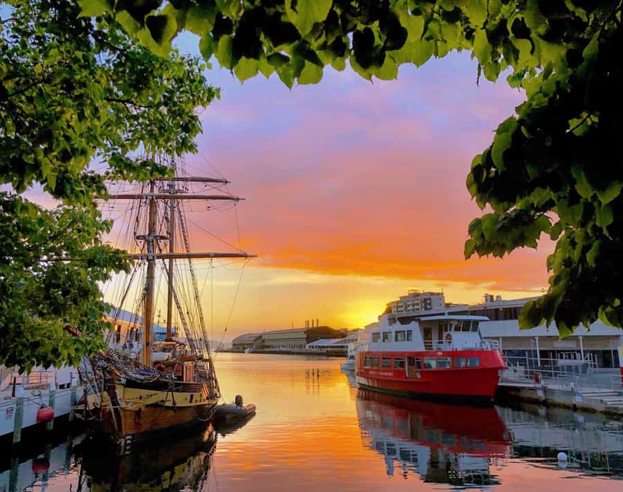 Hobart: Morning River Cruise - Morning Hobart views, without the walking grind