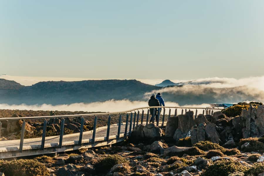 Hobart: Mt Wellington, Mt Field, Bonorong and Richmond Trip - Quick hits you will feel right away