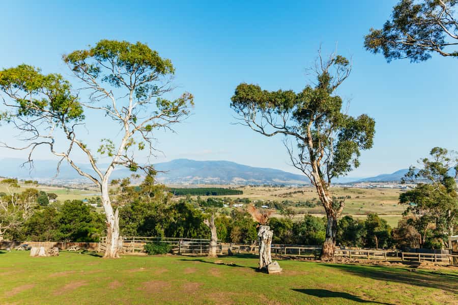 Hobart: Mt Wellington, Mt Field, Bonorong and Richmond Trip - How the guide turns the day from good to great