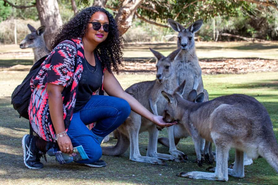 Hobart: Port Arthur, Richmond & Tassie Devil - Active Tour - Price and Value: Is $138 a Fair Deal for This Much Included?