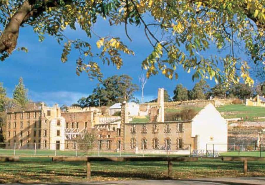 Hobart: Port Arthur & Tasman Park Full-Day Trip with Cruise - Tasman National Park: Tasman Arch and the Kind of Views You Remember