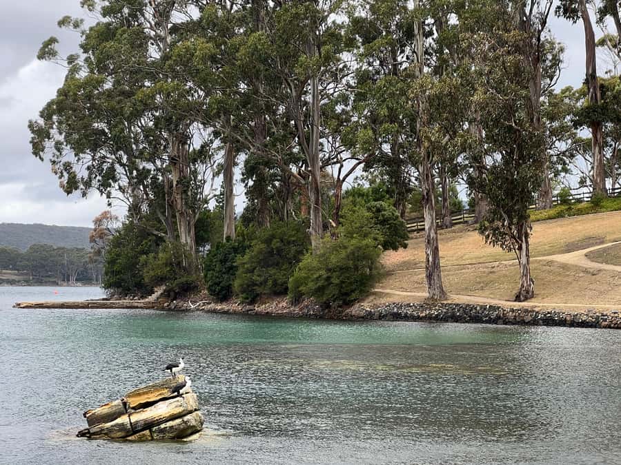 Hobart: Port Arthur & Tasman Park Full-Day Trip with Cruise - Remarkable Cave and Lunch Time: Where This Day Can Expand