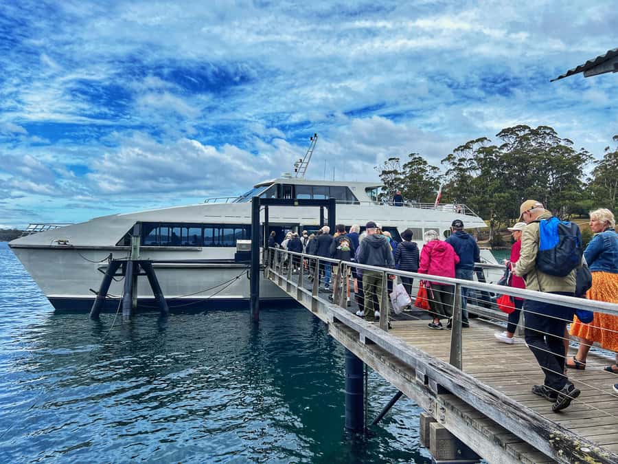 Hobart: Port Arthur & Tasman Park Full-Day Trip with Cruise - Chocolate Foundry Stop and Salamanca Market, Especially on Saturdays
