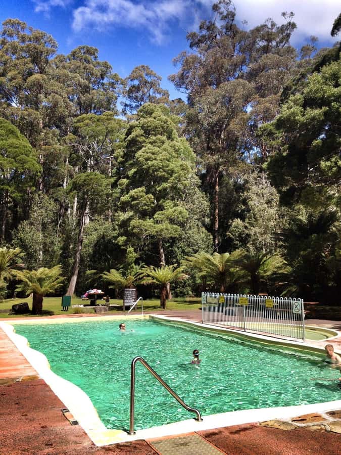Hobart: Tahune Airwalk, Hastings Cave, Thermal Springs Tour - The cantilever walk, plus your options for bridge time