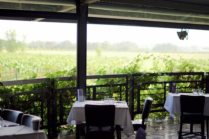 Hunter Valley Helicopter Tour with a Bubbly Breakfast - Above Hunter Valley: what you can expect to see from the air