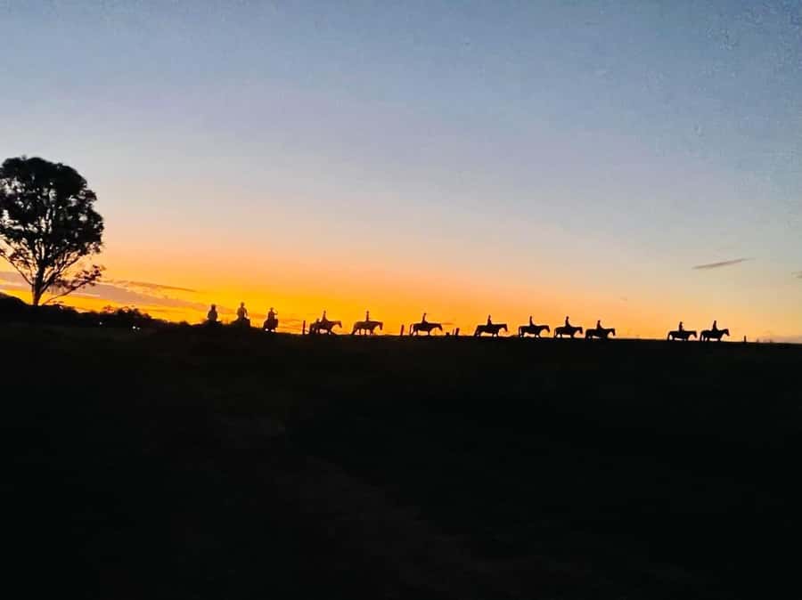 Hunter Valley: Sunset Horse Riding Tour 90min - Key points to know before you saddle up