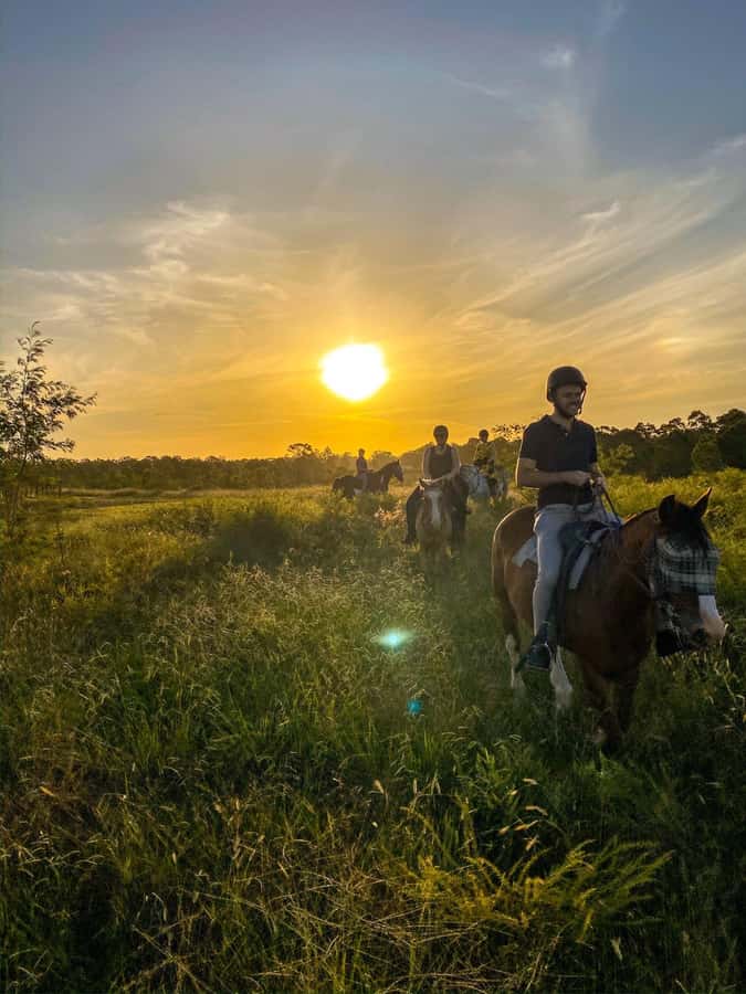 Hunter Valley: Sunset Horse Riding Tour 90min - Why a 90-Minute Sunset Ride Works in Hunter Valley
