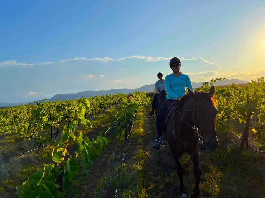 Hunter Valley: Sunset Horse Riding Tour 90min - The Walking Pace Through Bushland and Farmland