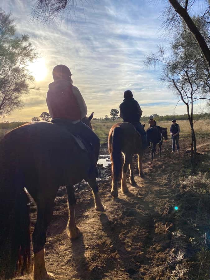 Hunter Valley: Sunset Horse Riding Tour 90min - What Wildlife Moments Feel Like at Dinnertime