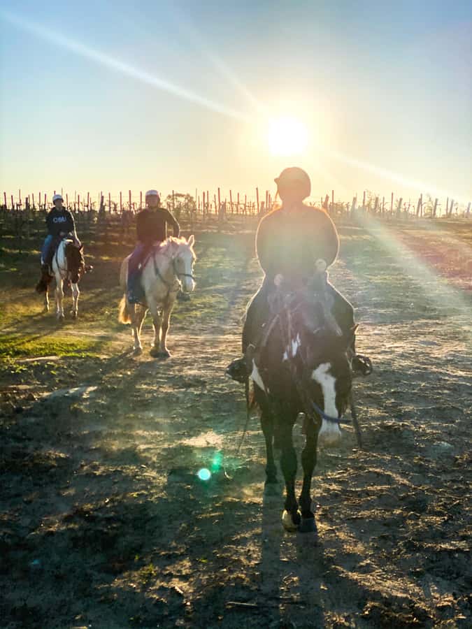 Hunter Valley: Sunset Horse Riding Tour 90min - Price and Value for $123 Per Person
