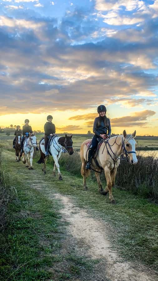 Hunter Valley: Sunset Horse Riding Tour 90min - Group Riding Reality: What Up to 20 Riders Means