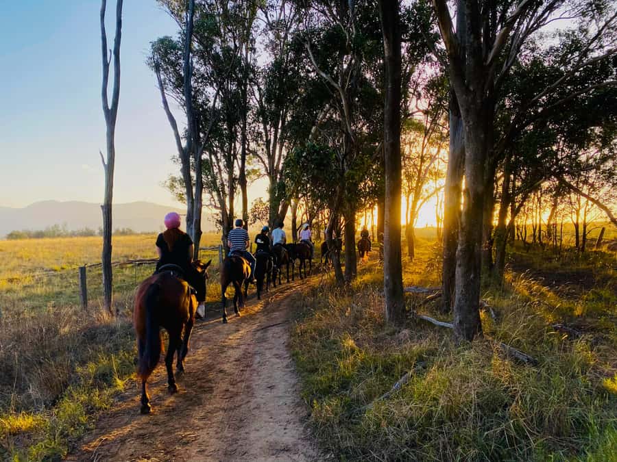 Hunter Valley: Sunset Horse Riding Tour 90min - Getting Set Up Inside Hunter Valley Resort (and Meeting Your Horse)