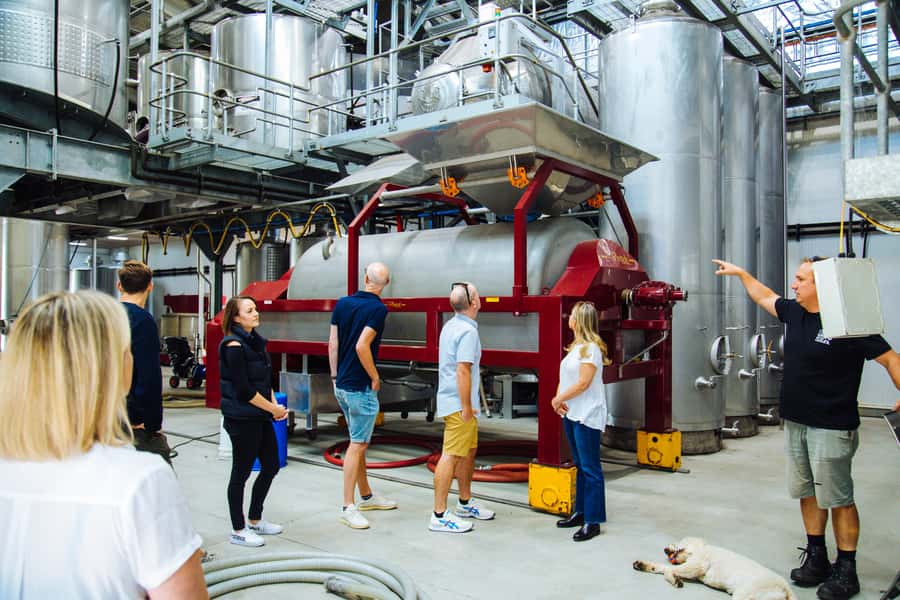 Hunter Valley: Wine, Spirits, and Cheese Tour with Lunch - Who this tour fits best (and who should skip it)