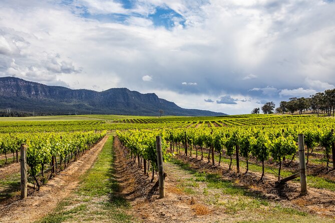 Hunter Valley Wine Tasting Tour from Sydney - Key highlights worth booking
