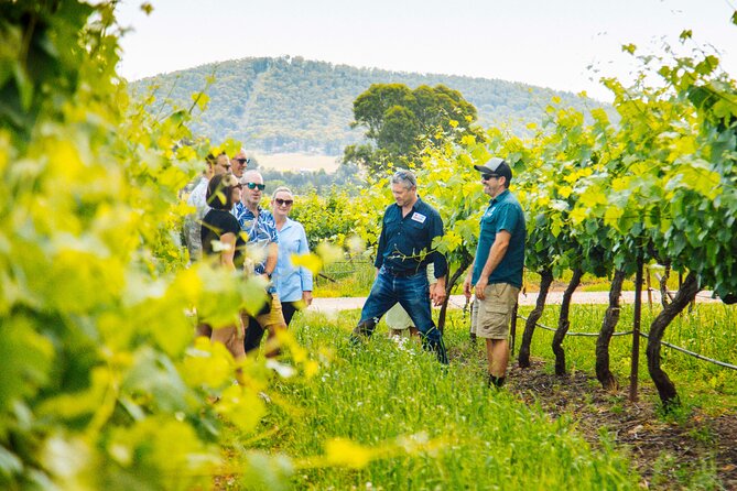 Hunter Valley Wine Tasting Tour from Sydney - Hunter Valley wine day, powered by easy transport