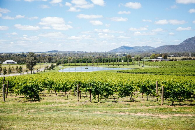Hunter Valley Wine Tasting Tour from Sydney - The day at a glance: timing and pacing across 11 hours