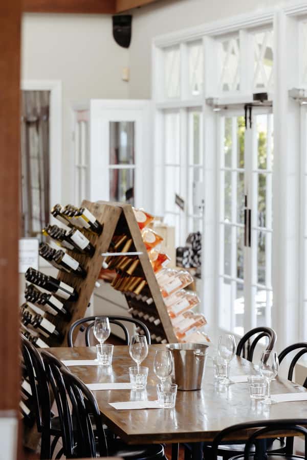 Hunter Valley: Wine Tour with 2-Course Lunch, Choc & Cheese - Mount Pleasant Wines: Taste Pinot with the Vines in View
