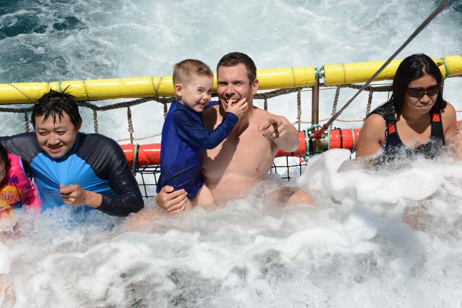 Huskisson: Dolphin Cruise & Boom Netting Experience - How the cruise flows: dolphins first, boom netting right on board