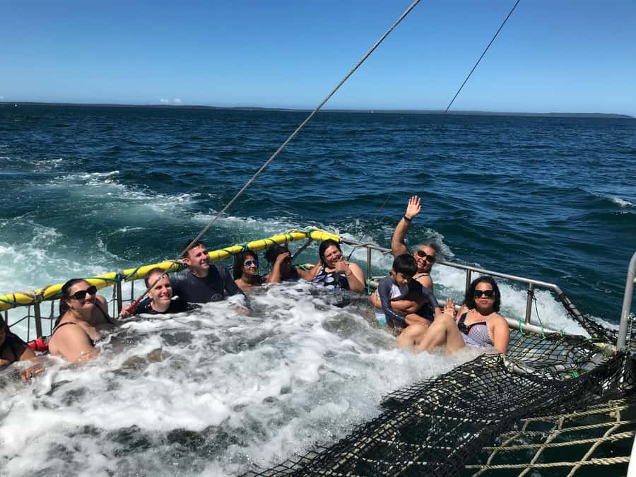 Huskisson: Dolphin Cruise & Boom Netting Experience - Who this cruise and boom netting fits best