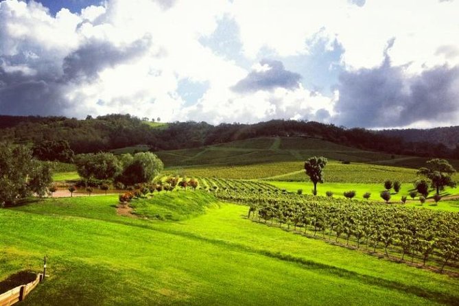 Ivanhoe Wines: Trip Advisor Premium Wine Tasting - The view, the deck heat, and what to do if the weather turns