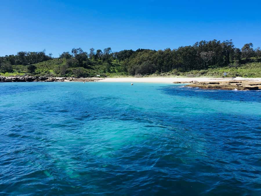 Jervis Bay: 2-Hour Cruise of Jervis Bay Passage - Hyams Beach white sand: why the color looks unreal on the water