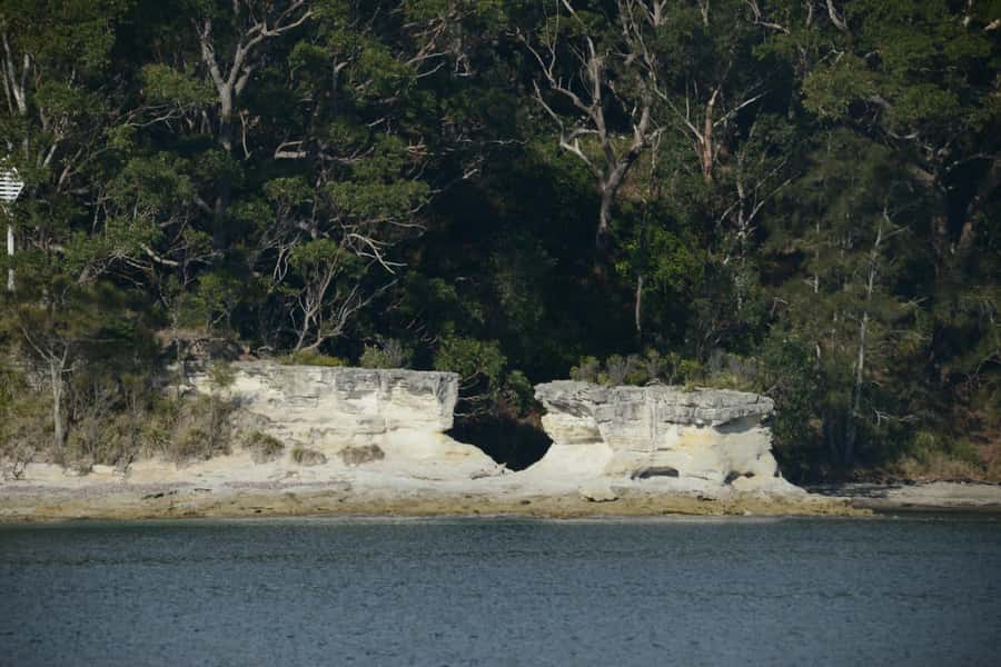 Jervis Bay: 2-Hour Cruise of Jervis Bay Passage - Dolphins near the boat: the part you hope for and actually get