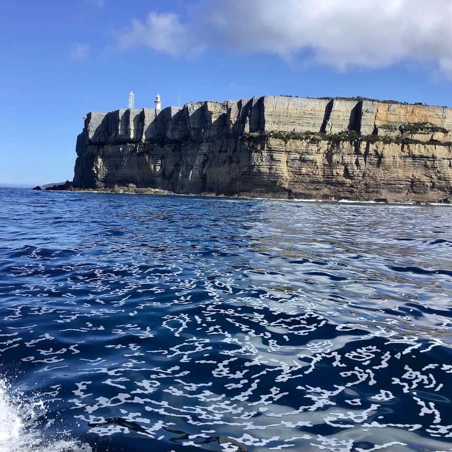 Jervis Bay: 2-Hour Cruise of Jervis Bay Passage - Crystal clear water and photo angles you can actually use