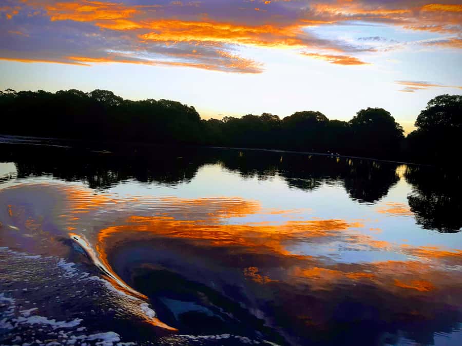 Jervis Bay: 2-Hour Sunset River Cruise - What the 2-hour cruise actually feels like