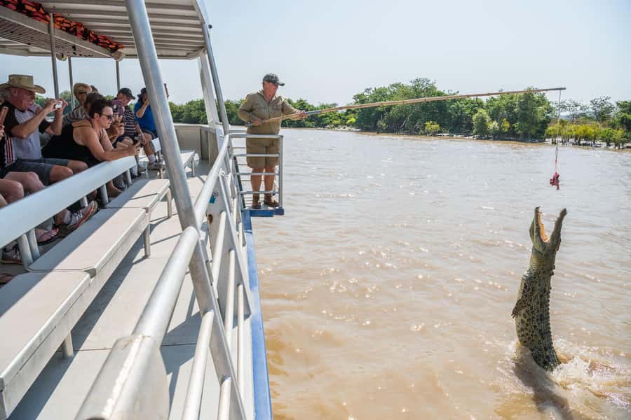 Jumping Crocodile Cruise from Darwin Half-Day Scenic Trip - Price and value for $99, what you’re really paying for