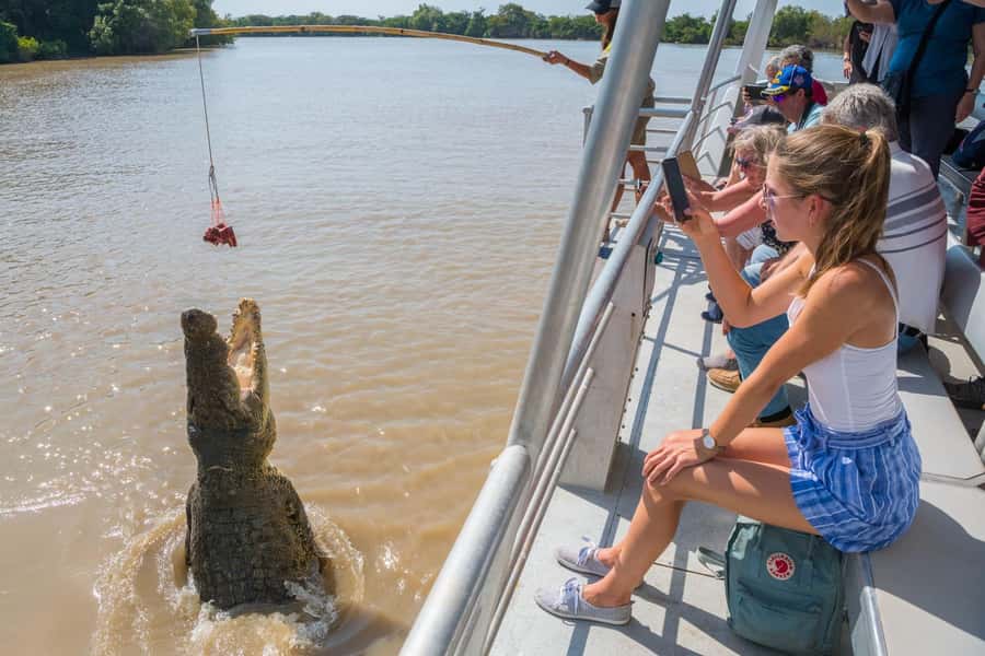 Jumping Crocodile Cruise from Darwin Half-Day Scenic Trip - From Darwin to Marrakai wetlands, the ride matters more than you think